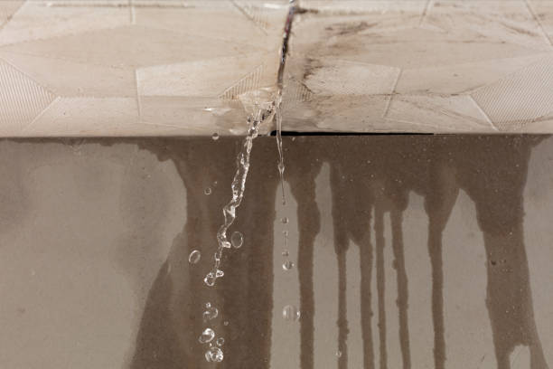 Professional Commercial Water Damage Restoration technician working in Lanesboro, MN